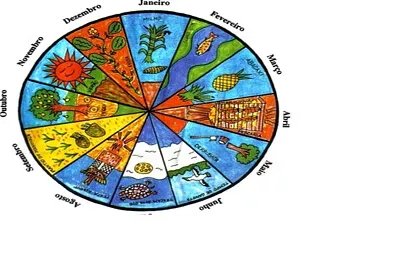 jogo kaua mapa Brasil