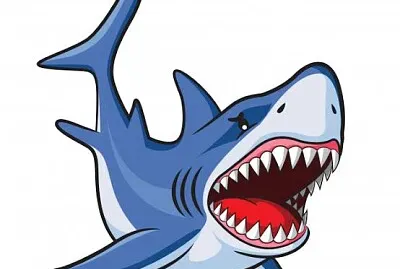 Shark