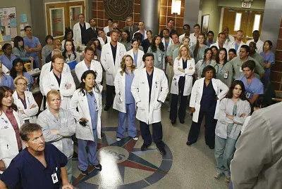 Grey 's anatomy
