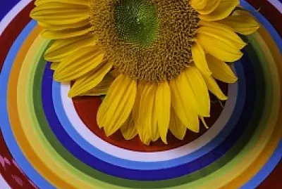 Colorful jigsaw puzzle