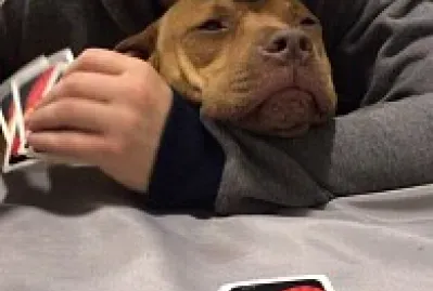 פאזל של Paulo Londra