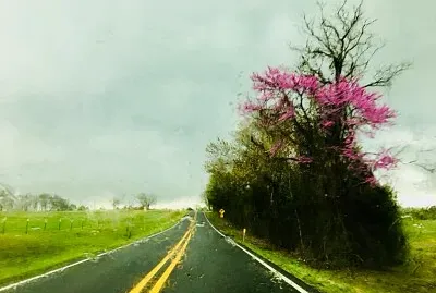 imagem jigsaw puzzle