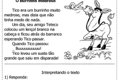 O burrinho