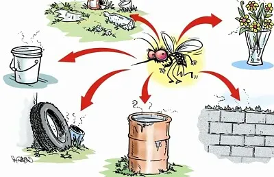 Dengue jigsaw puzzle