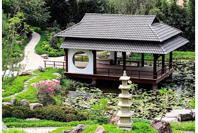 341- JARDIN MEXICANO