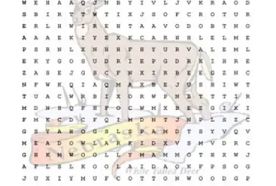 nebraska-wordsearch