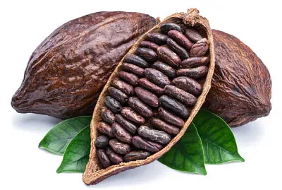 פאזל של Cacao
