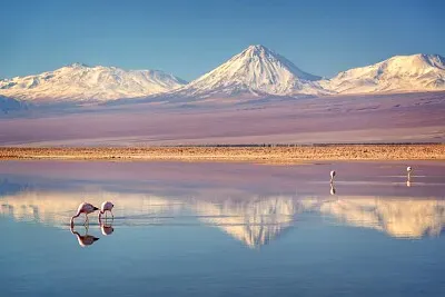 DESIERTO DE ATACAMA