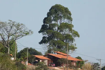 פאזל של Champs Prives