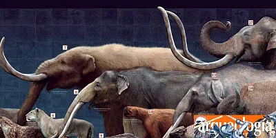 פאזל של era de hielo