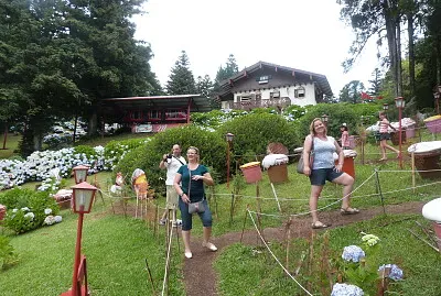 Hortênsia