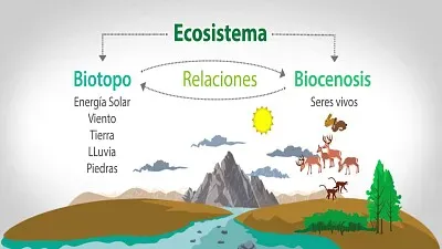 Biocenosis jigsaw puzzle