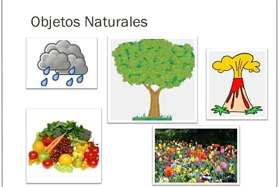 Artefactos Naturales