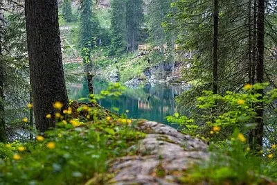 Foto jigsaw puzzle