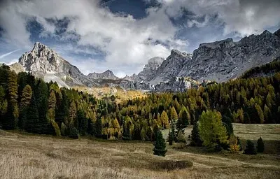Foto jigsaw puzzle