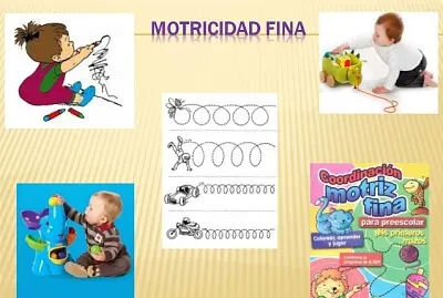 Motricidad fina