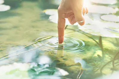 Fotos diversas jigsaw puzzle