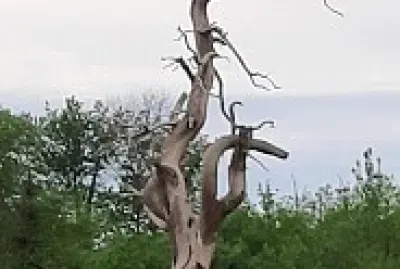 vie et mort