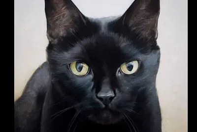 simon