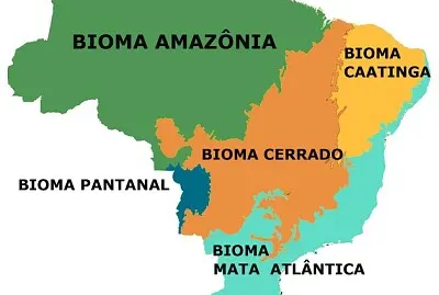MONTE E DESCUBRA QUANTOS SÃO OS PRINCIPAIS BIOMAS BRASILEIROS.