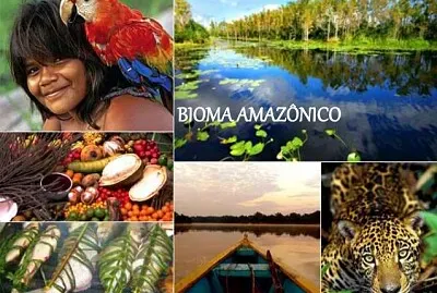 QUANTA BELEZA VIVA!!