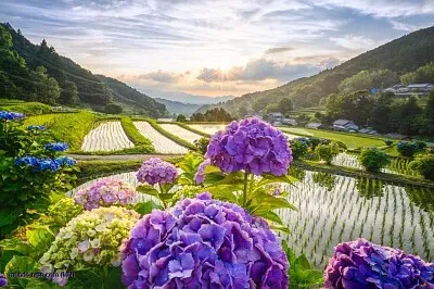 imagem jigsaw puzzle