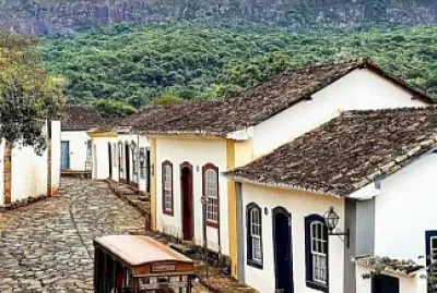 jardineira jigsaw puzzle