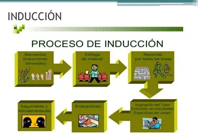 Proceso de Inducción
