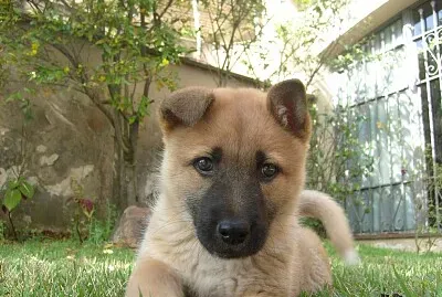 Paulo Roberto Ramos Aspinwall