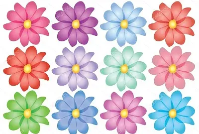 different colored flowers