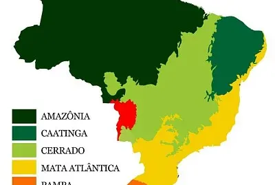 BRASIL jigsaw puzzle