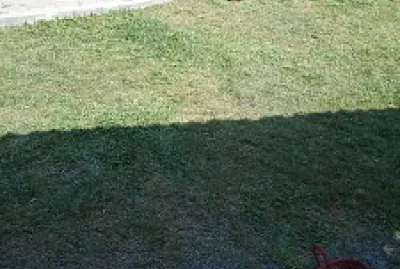 Patio jigsaw puzzle