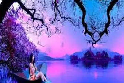 Bosque Wallpapers