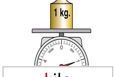 Arma el rompecabezas y descubre la imagen. jigsaw puzzle