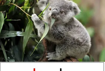 Arma el rompecabezas y descubre la imagen.