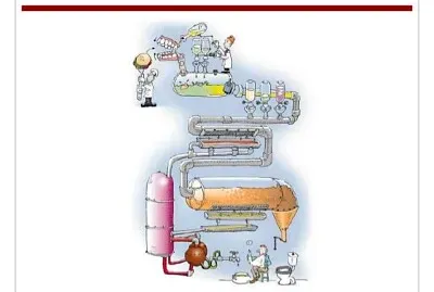 Partes jigsaw puzzle