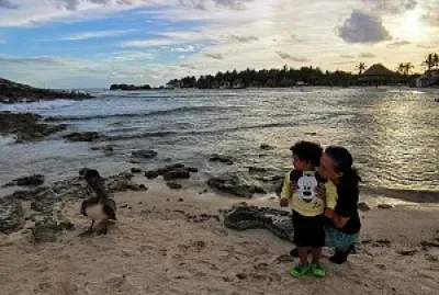 De paseo con mi abue jigsaw puzzle