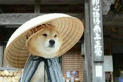 פאזל של imagem