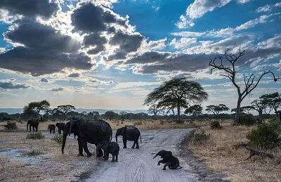 פאזל של imagem