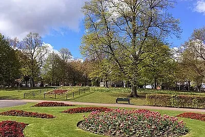 Spring In The Park