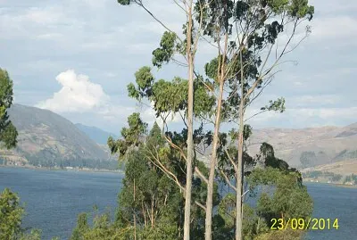 vista de la laguna de pacucha andahuylas peru