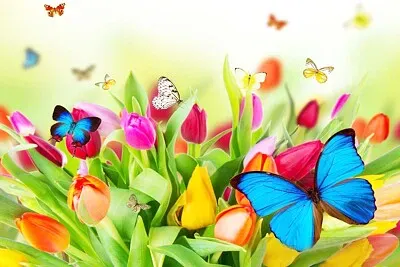 mariposas y flores 2 jigsaw puzzle