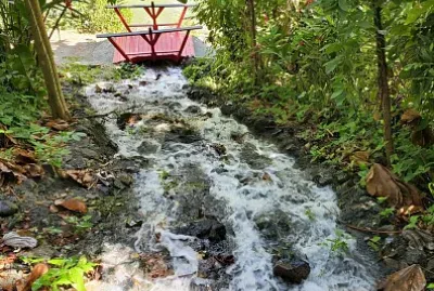 Cascada, Jardín Botánico, Universidad de Puerto Ri