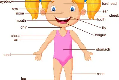 Arma el rompecabezas