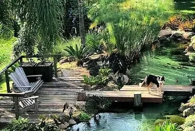 jardín jigsaw puzzle