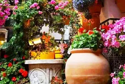 jardín jigsaw puzzle