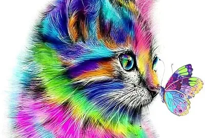 Colorful Kitty