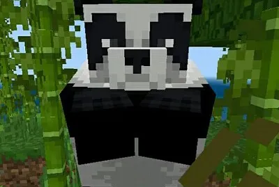 panda