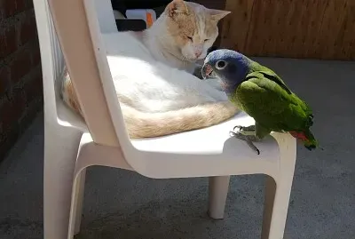 Lindos