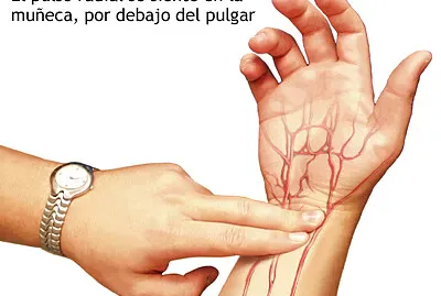 6to pulso
